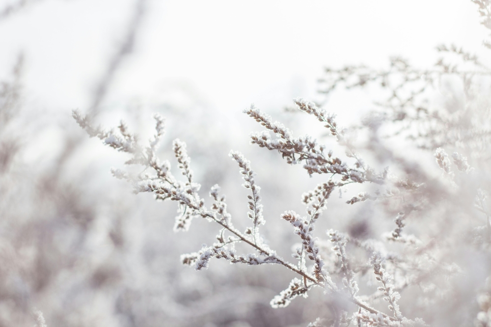 Zmiany w Płatności 'Winter Payment'