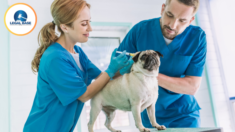 Rewolucyjne reformy w brytyjskich klinikach weterynaryjnych